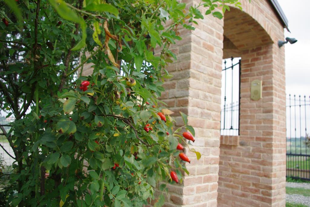 Naturalmente Wine Resort Agliano Terme Eksteriør billede