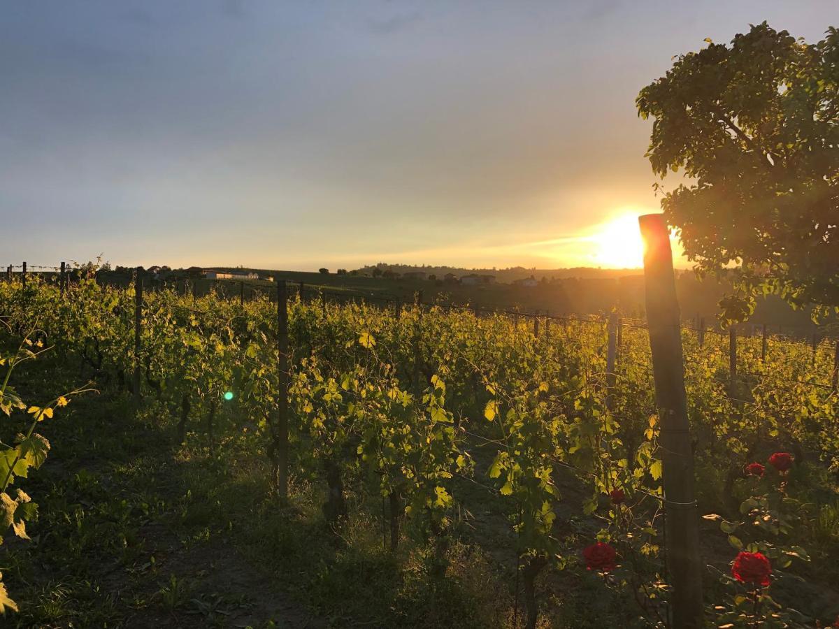 Naturalmente Wine Resort Agliano Terme Eksteriør billede